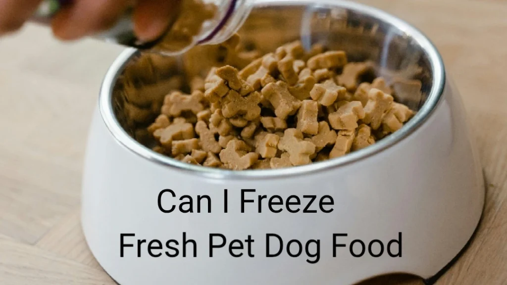 Can I Freeze Fresh Pet Dog Food? – A Comprehensive Guide